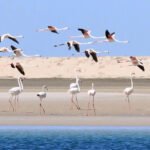 Dakhla