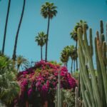 Marrakech