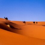 Ouarzazate