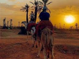 Palmeraie Camel ride