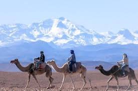 Atlas Mountain Camel ride