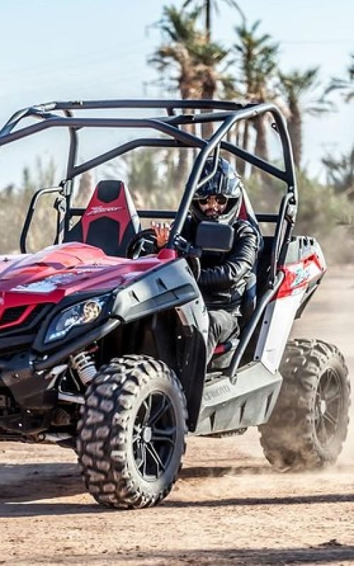 Buggy Palmeraie