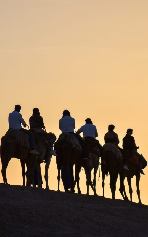 Agafay Desert Adventure