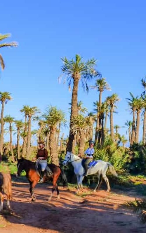 Horse riding