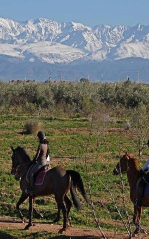 Horse riding