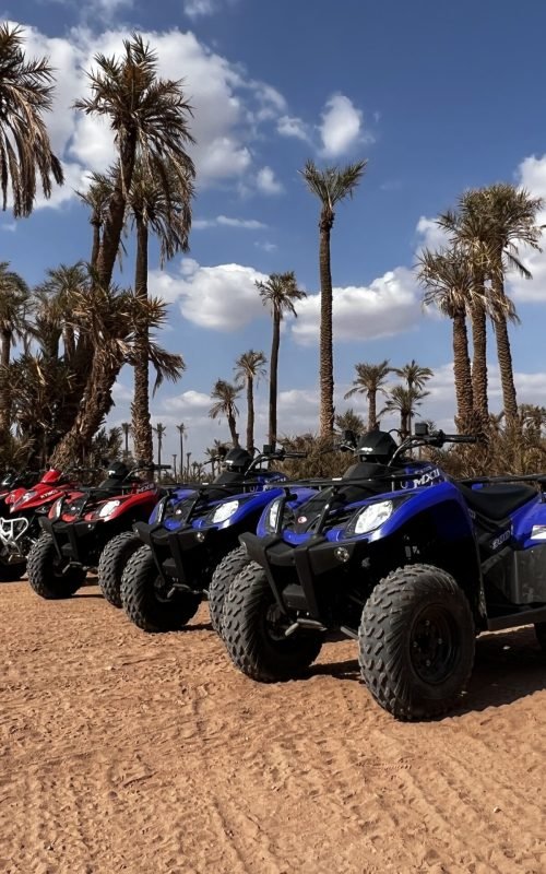 Quad_Palmeraie